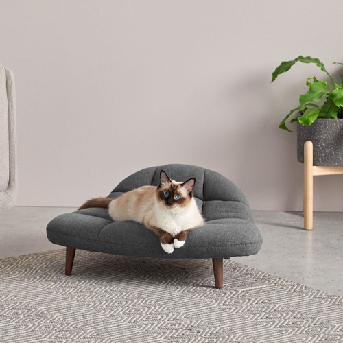 Beds & Furniture For Pets