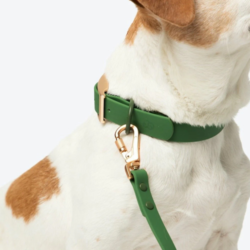 Collars & Leashes For Pets